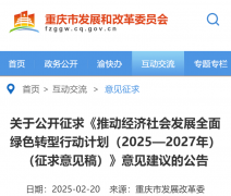 （十九）鼎力推进节能降碳